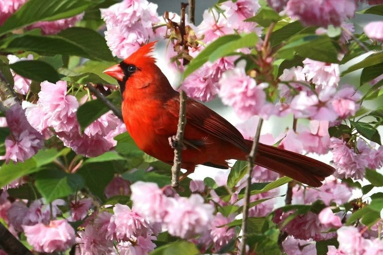 Sinh ngay Am lich nay khong lam mat long ai, tai loc khong can-Hinh-2