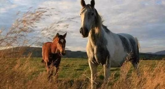 Tu gio toi het thang 3/2022: 4 con giap quet sach van den, giau khung-Hinh-3