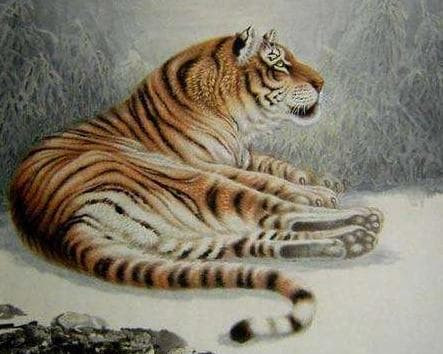 Tu gio toi het thang 3/2022: 4 con giap quet sach van den, giau khung