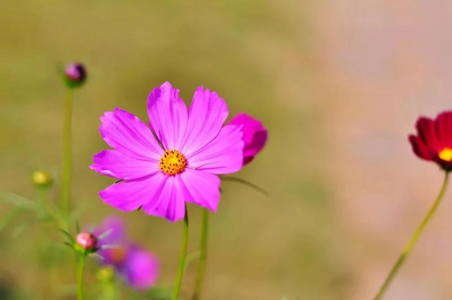 Ngay sinh Am lich ket thuc bang so nay trung nien phat loc-Hinh-2