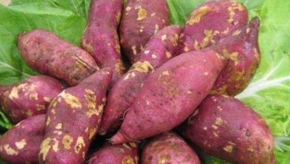 3 "thực phẩm vàng" giúp giải độc, tiêu mỡ, giảm béo bụng ảnh 2