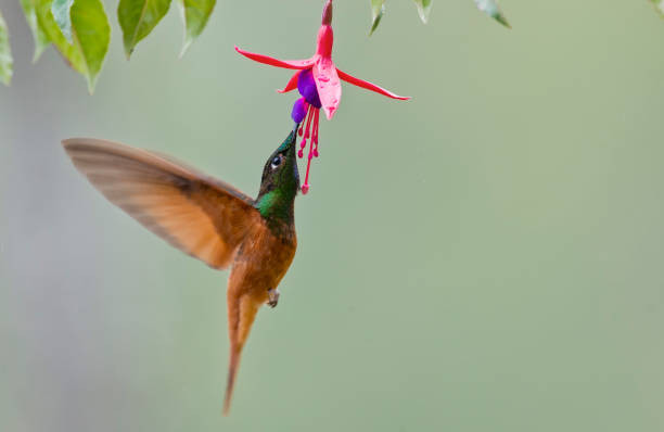 Ai sinh ngay Am lich nay don cau vong sau mua