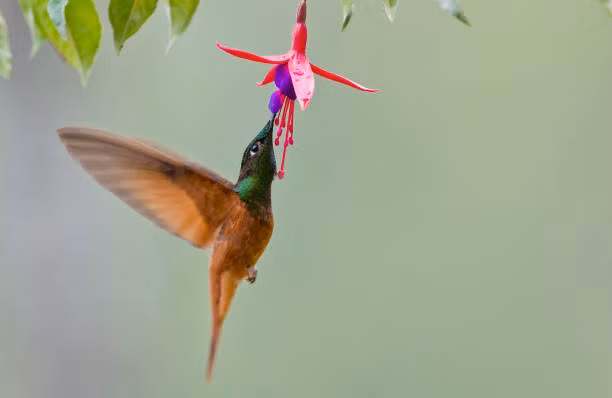 Ai sinh ngày Âm lịch này đón cầu vồng sau mưa Ai sinh ngay Am lich nay don cau vong sau mua