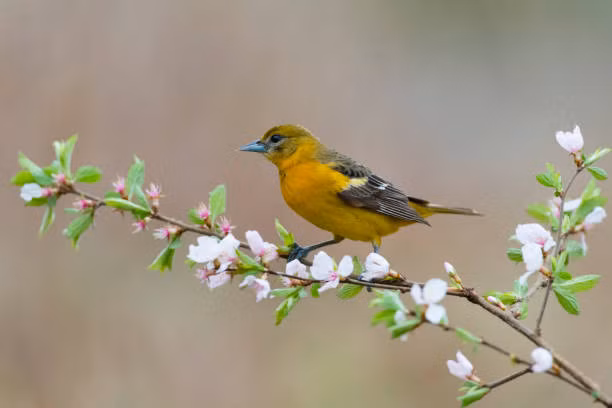 Ai sinh ngày Âm lịch này đón cầu vồng sau mưa - Hình 4 Ai sinh ngay Am lich nay don cau vong sau mua-Hinh-4