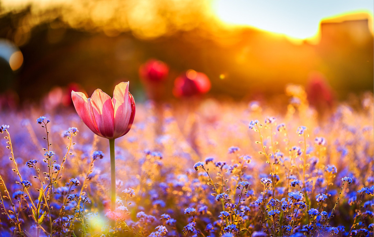 Trẻ sinh vào 5 ngày Âm lịch này, tài năng hơn người - Hình 3 Tre sinh vao 5 ngay Am lich nay, tai nang hon nguoi-Hinh-3