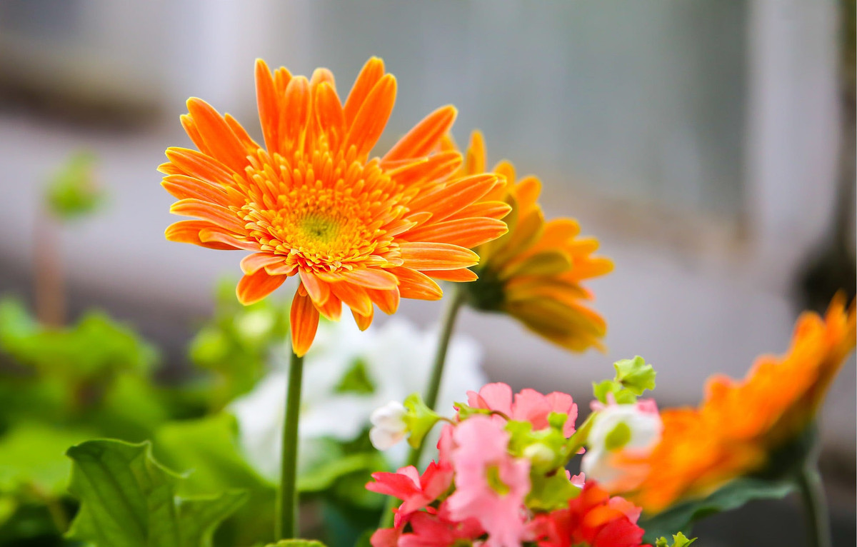 Trẻ sinh vào 5 ngày Âm lịch này, tài năng hơn người - Hình 2 Tre sinh vao 5 ngay Am lich nay, tai nang hon nguoi-Hinh-2