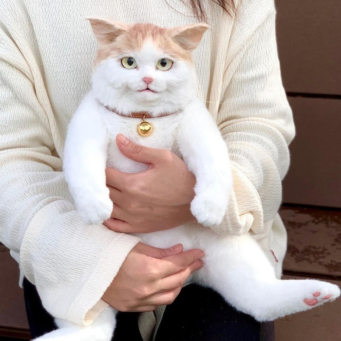 Dan Nhat chen nhau mua chiec balo meo 25 trieu dong-Hinh-2