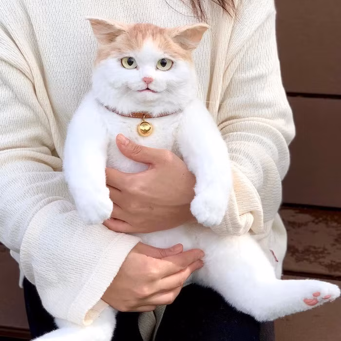 Dân Nhật chen nhau mua chiếc balo mèo 25 triệu đồng - Hình 2 Dan Nhat chen nhau mua chiec balo meo 25 trieu dong-Hinh-2