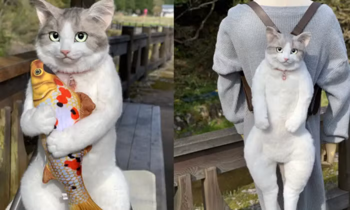 Dân Nhật chen nhau mua chiếc balo mèo 25 triệu đồng - Hình 4 Dan Nhat chen nhau mua chiec balo meo 25 trieu dong-Hinh-4