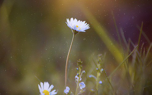 Sinh tháng 6 Âm lịch. Người sinh vào tháng 6 Âm lịch là người nhân hậu, can đảm. Người sinh tháng này biết nhìn xa trông rộng, tránh được các mối rủi ro, không ngừng tìm tòi để phát triển sự nghiệp. Họ có vận quý nhân vượng nên khi gặp khó khăn dễ được người tốt giúp đỡ.