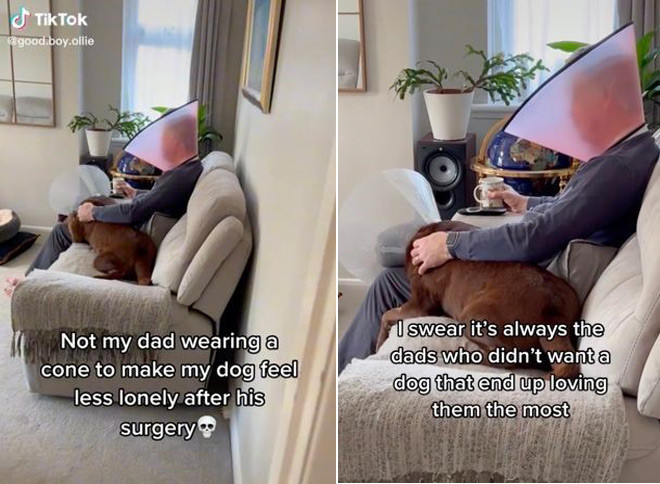 Ong bo doi non de cho cung “bot co don” don tim dan mang