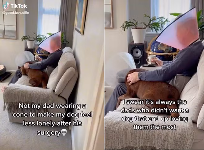 Ong bo doi non de cho cung “bot co don” don tim dan mang