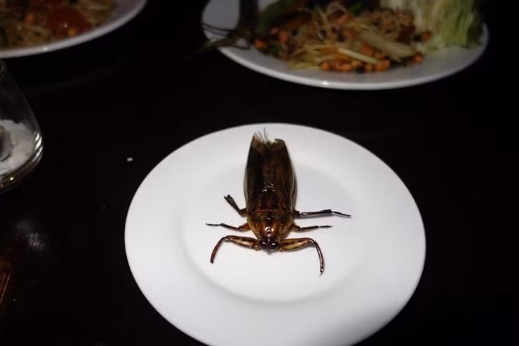 Mon an ky la nhat o Lao, mon thu 3 khong ai dam an-Hinh-5