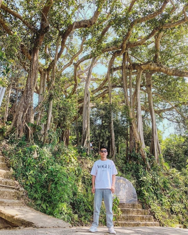 Choang truoc cay da ngan nam an minh giua ban dao Son Tra-Hinh-8