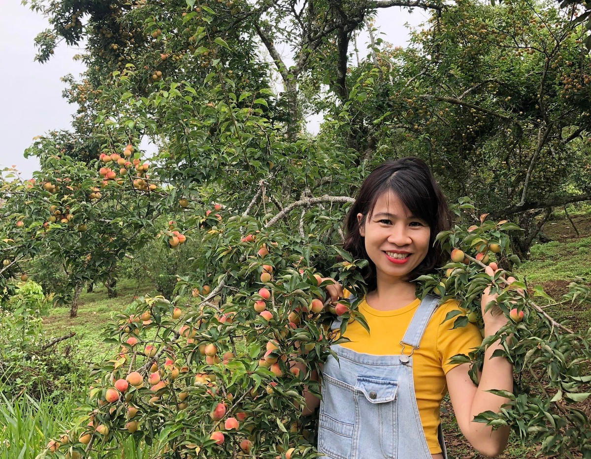 Thon thuc truoc ngoi nha go phu day hoa tren cao nguyen Moc Chau