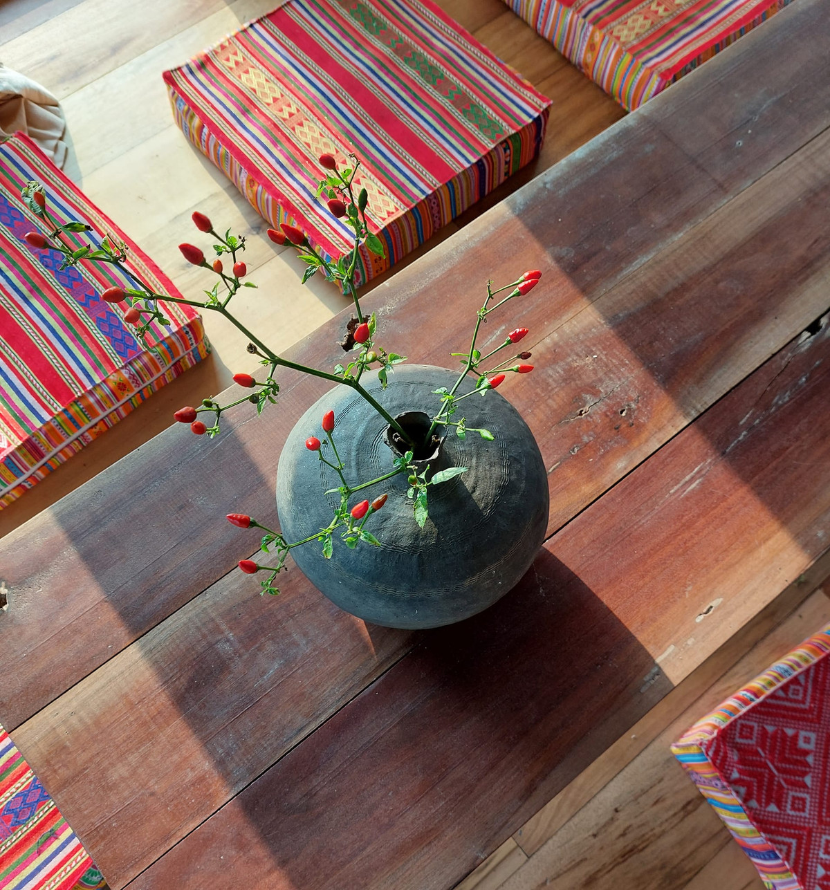 Thon thuc truoc ngoi nha go phu day hoa tren cao nguyen Moc Chau-Hinh-11