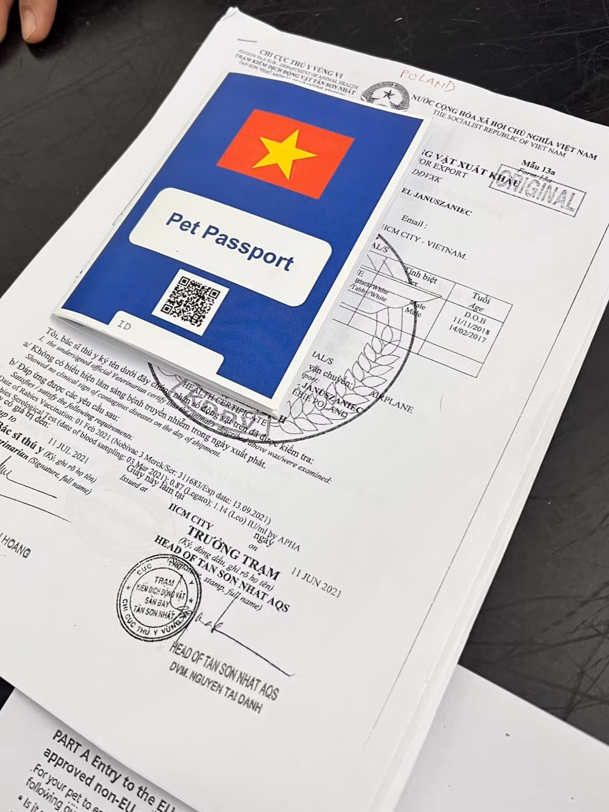 Co gai 4 thang 'chay' thu tuc dua cun cung di chau Au-Hinh-3