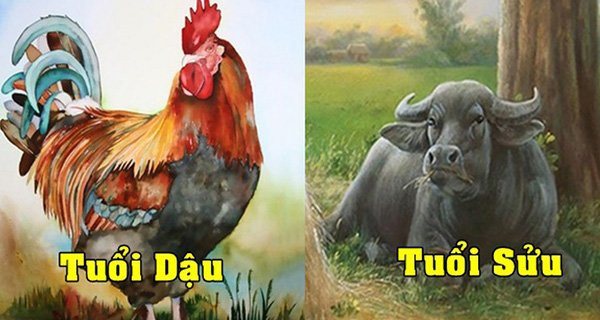  Tuổi Dậu. Người tuổi Dậu thâm trầm, ít nói, ít thổ lộ những tâm sự của bản thân. Họ là người tận tâm, tinh tế trong suy nghĩ. Họ luôn giữ được tư tưởng, tinh thần làm việc hăng say, tích cực, ngay cả khi gặp khó khăn, thất bại.