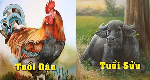  Tuổi Dậu. Người tuổi Dậu thâm trầm, ít nói, ít thổ lộ những tâm sự của bản thân. Họ là người tận tâm, tinh tế trong suy nghĩ. Họ luôn giữ được tư tưởng, tinh thần làm việc hăng say, tích cực, ngay cả khi gặp khó khăn, thất bại.