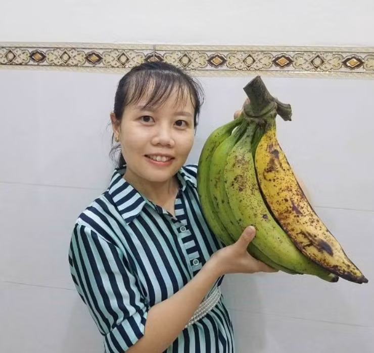 Được biết, tuy số lượng quả thấp nhưng chuối tá quạ kết trái có size khổng lồ, mỗi quả to ngang cổ tay, nặng từ 0,5 - hơn 1kg và dài khoảng 35 - 40 cm.