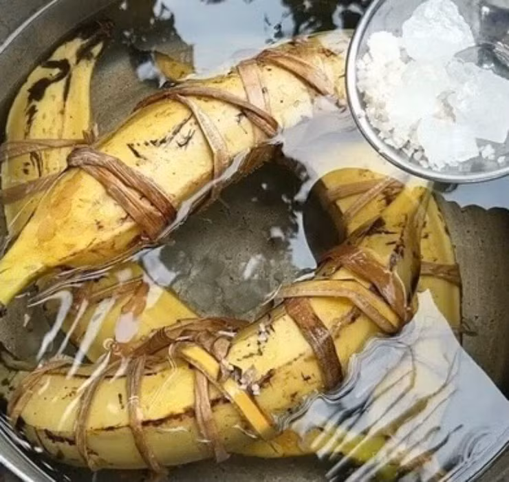 Đối với cây giống thì giá dao động từ 150.000 - 450.000 đồng/cây tùy từng loại to nhỏ khác nhau.