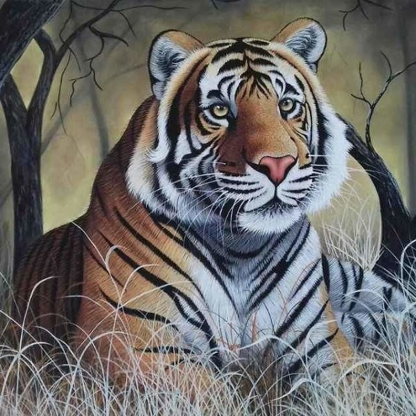 Tử vi nói rằng trong năm 2022, tuổi Dần đón nhận nhiều bước chuyển mới trong cuộc sống cũng như sự nghiệp. Thời gian trước đây con giáp này phải đối mặt với nhiều khó khăn. Sau tháng 9 này, bản mệnh sẽ đón nhận nhiều hỷ sự.