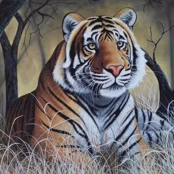 Tử vi nói rằng trong năm 2022, tuổi Dần đón nhận nhiều bước chuyển mới trong cuộc sống cũng như sự nghiệp. Thời gian trước đây con giáp này phải đối mặt với nhiều khó khăn. Sau tháng 9 này, bản mệnh sẽ đón nhận nhiều hỷ sự.