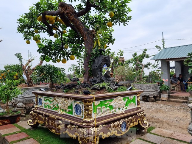 "Nếu không bán được thì tôi để chơi. Tác phẩm được chăm chút kì công, bán rẻ tiếc công sức của mình đã bỏ ra", anh Tập nói thêm.