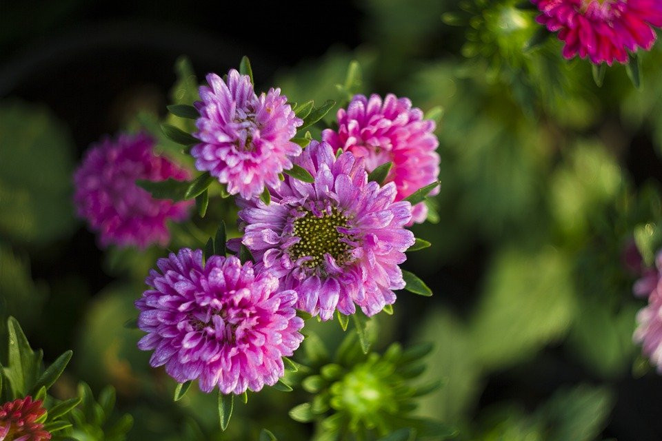 Bước sang năm 2022, người sinh tháng 6 Âm lịch làm việc chăm chỉ, nhận được nhiều cơ hội phát triển sự nghiệp. Người làm kinh doanh cũng buôn may bán đắt, gặp được người đối tác làm ăn uy tín.