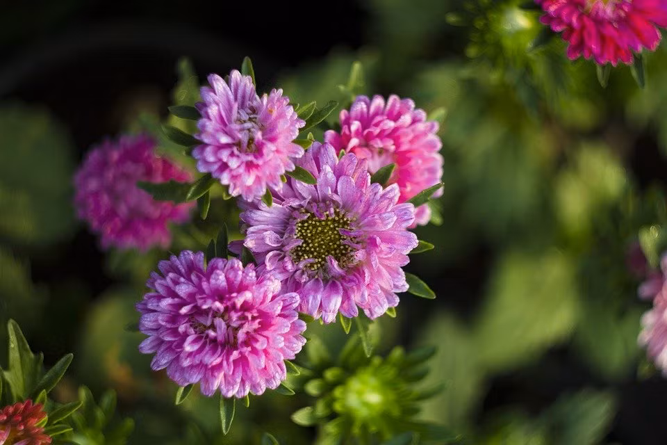 Bước sang năm 2022, người sinh tháng 6 Âm lịch làm việc chăm chỉ, nhận được nhiều cơ hội phát triển sự nghiệp. Người làm kinh doanh cũng buôn may bán đắt, gặp được người đối tác làm ăn uy tín.