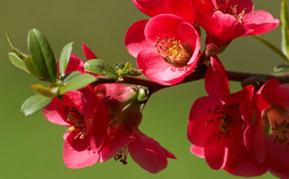 Sinh vào 5 ngày Âm lịch này, cả đời được Thần Tài cưng nựng Sinh vao 5 ngay Am lich nay, ca doi duoc Than Tai cung nung