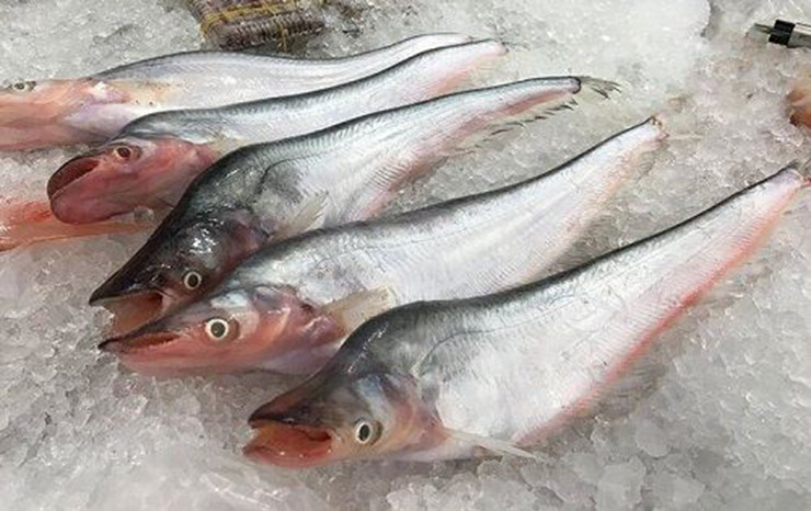 Giờ đây, cá trèn thành đặc sản, có mặt trong nhà hàng, quán ăn, được lòng du khách đến với miền Tây