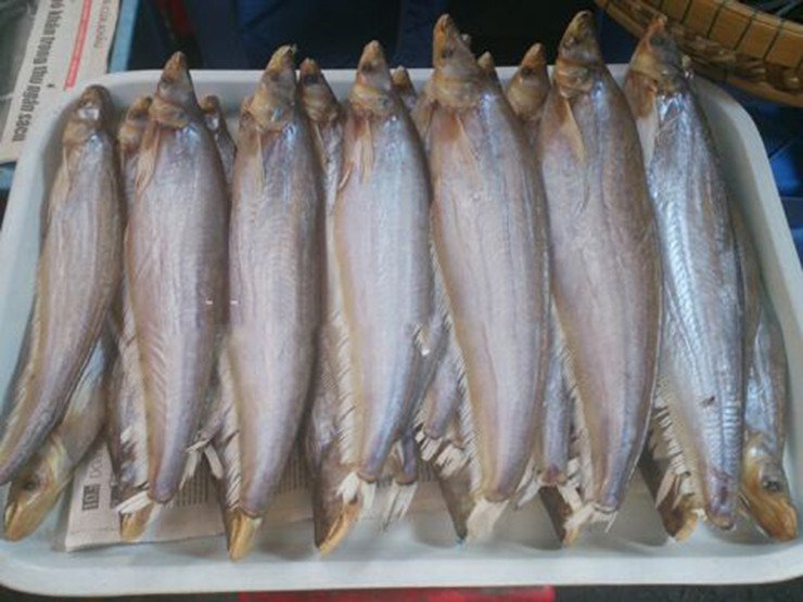 Thuộc dòng cá da trơn, cá trèn sở hữu nhiều ưu điểm nổi trội với phần bụng phệ đầy mỡ, phần thịt ngọt béo nhiều, ít xương.