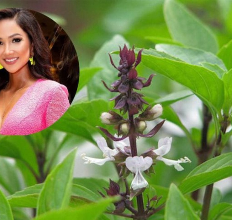 Rau re beo o Viet Nam sang Dubai bong thanh... cay canh