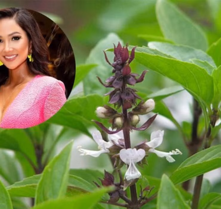 Rau re beo o Viet Nam sang Dubai bong thanh... cay canh