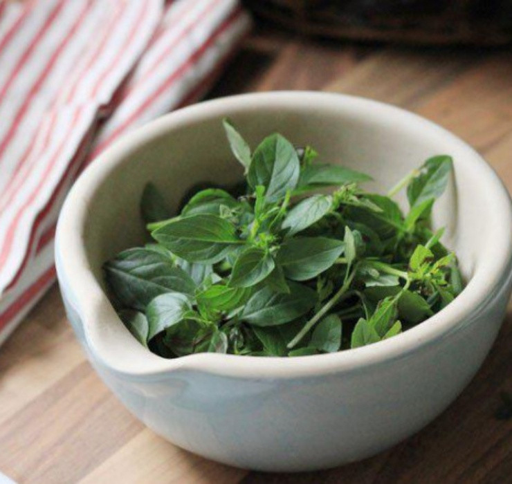 Rau re beo o Viet Nam sang Dubai bong thanh... cay canh-Hinh-5