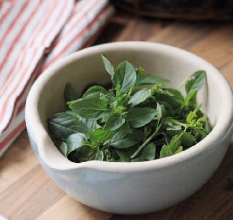 Rau re beo o Viet Nam sang Dubai bong thanh... cay canh-Hinh-5