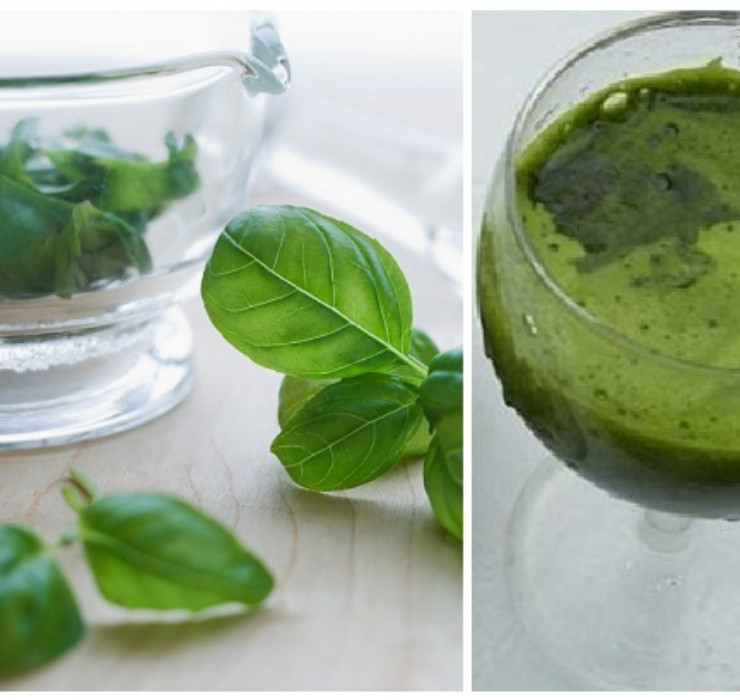 Rau re beo o Viet Nam sang Dubai bong thanh... cay canh-Hinh-8