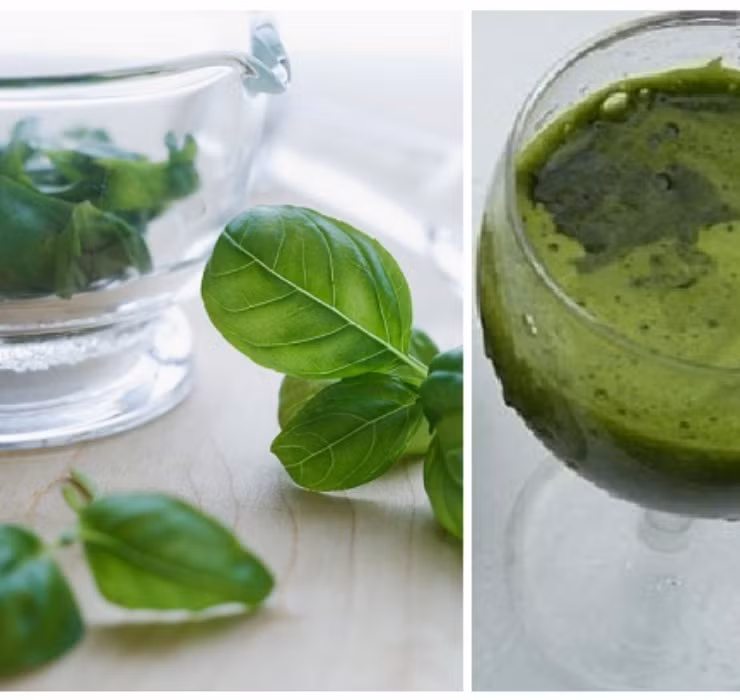 Rau re beo o Viet Nam sang Dubai bong thanh... cay canh-Hinh-8