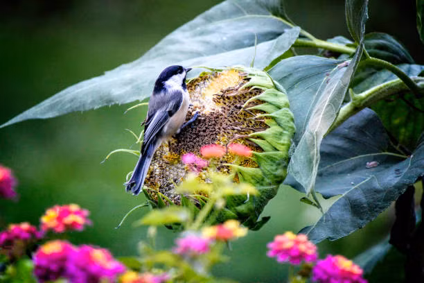 Phu nu sinh ngay Am lich nao thi song phu quy ca doi vien man?-Hinh-2