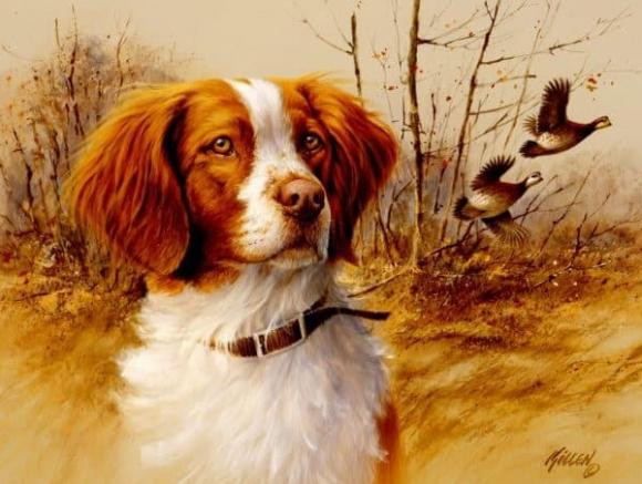 Tuổi Tuất. Tuất có tính cách vui vẻ, hoạt bát, luôn sống độc lập và ít khi nào dựa dẫm vào người khác. So với những con giáp khác, những người tuổi Tuất đều gặt hái được nhiều thành công vào giai đoạn tiền vận.