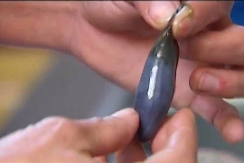 An ca tranh xa nhung bo phan nay keo nhiem thuy ngan