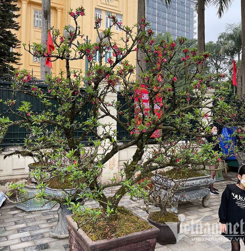 Dao that thon tran via he: Ngam nghia suyt xoa, lang le bo di-Hinh-3