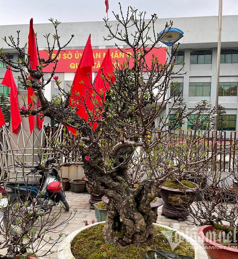 Dao that thon tran via he: Ngam nghia suyt xoa, lang le bo di-Hinh-5