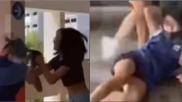 Quay lai canh bat nat dua len mang la len an hay tiep tay-Hinh-2