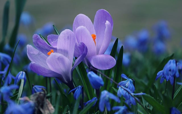 Cac cu noi: 3 dac diem cua nguoi duoc Troi ban phuc khi-Hinh-2