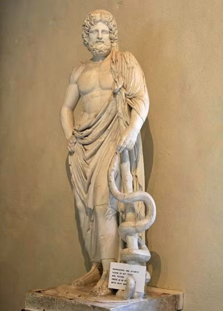 Y nghia cua bieu tuong con ran trong nganh Y-Hinh-3