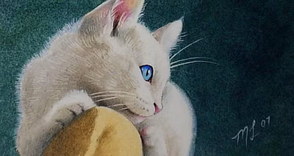 Chuot sa chinh gao: 4 tuoi thang 11 giau su, thang 12 don Tet to-Hinh-3