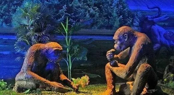 Sau khi mot nguoi chet, co 4 loai xa loi khong duoc dot