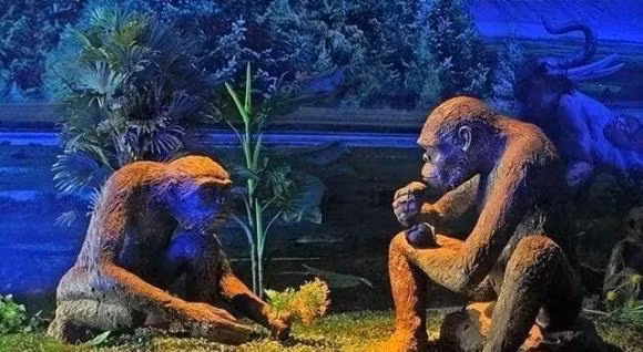 Sau khi mot nguoi chet, co 4 loai xa loi khong duoc dot